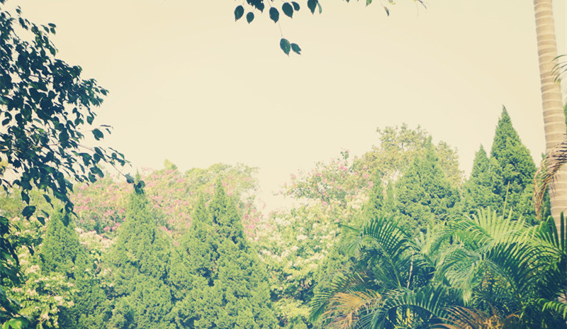 2022高考如何快速提高成绩