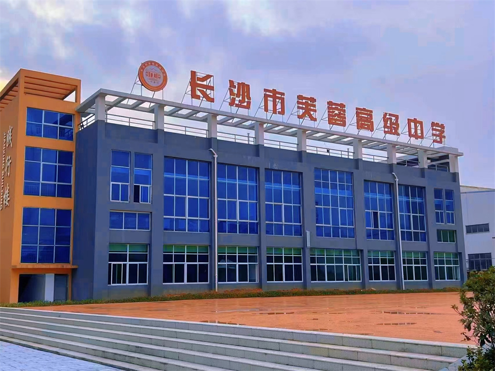 高四生复读策略